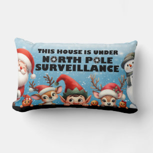 Noordpool surveillance lumbaal kussen