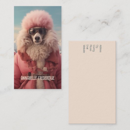 Noordpool Visitekaartje (Voorkant / Achterkant)