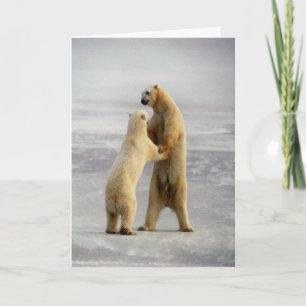 Noordpool Wals Kaart