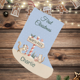 Noordpool Winter Schattige Katten Eerste Kerstmis Kleine Kerstsok