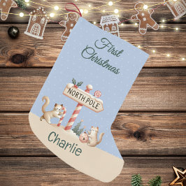 Noordpool Winter Schattigee Katten Eerste Kerstdag Kleine Kerstsok