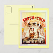 Noordpoolbier, vers en koud Briefkaart (Voorkant / Achterkant)