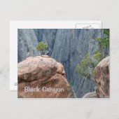 Noordrand van de Zwarte Canyon Briefkaart (Voorkant / Achterkant)