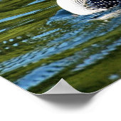 noordse poster (Hoek)