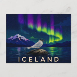 Noordse Stern onder het Aurora | Iconisch IJsland Briefkaart