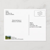 Noordvork Shoshone River Blank Post Kaart (Achterkant)