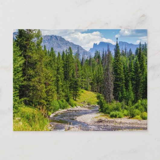 Noordvork Shoshone River Blank Post Kaart (Voorkant)