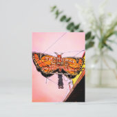 Noordwest-Neon: De schelvis, briefkaart (Staand voorkant)