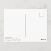 Noordwest-Neon: Frisko Freeze Briefkaart (Achterkant)