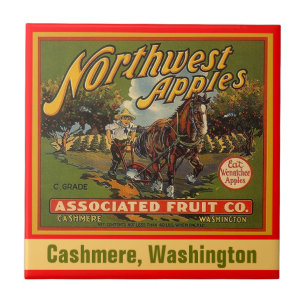 noordwestelijk appelschildpad - labeltegel tegeltje