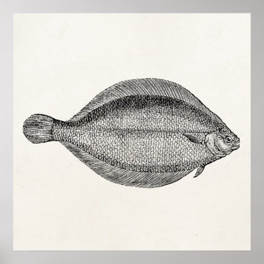  Noordzeekracht Vis Gepersonaliseerde Sjabloon Poster (Voorkant)