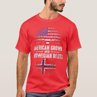 Noors Amerikaans T-shirt