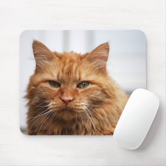 Noors bos Cat Mousepad Muismat (Met muis)