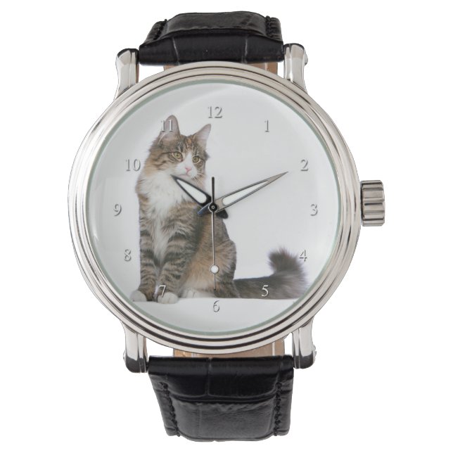 Noors Bos Kat Horloge (Voorkant)