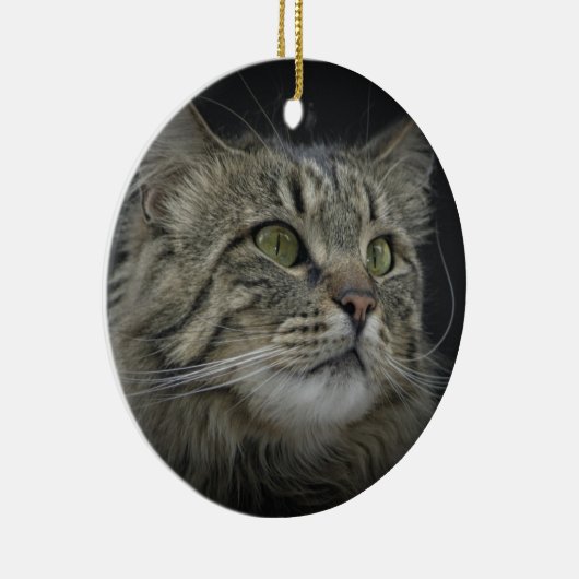 Noors bos kattenportret keramisch ornament (Rechts)