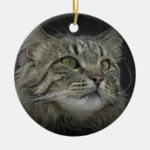 Noors bos kattenportret keramisch ornament (Voorkant)