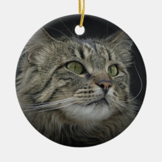 Noors bos kattenportret keramisch ornament (Voorkant)