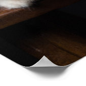 Noors bos Kitten Poster (Hoek)