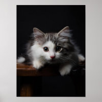 Noors bos Kitten