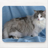 Noors bos, zilver, tabby en wit muismat (Voorkant)