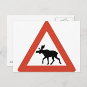 Noors Elk Briefkaart (Voorkant / Achterkant)