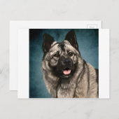 Noors Elkhound Briefkaart (Voorkant / Achterkant)