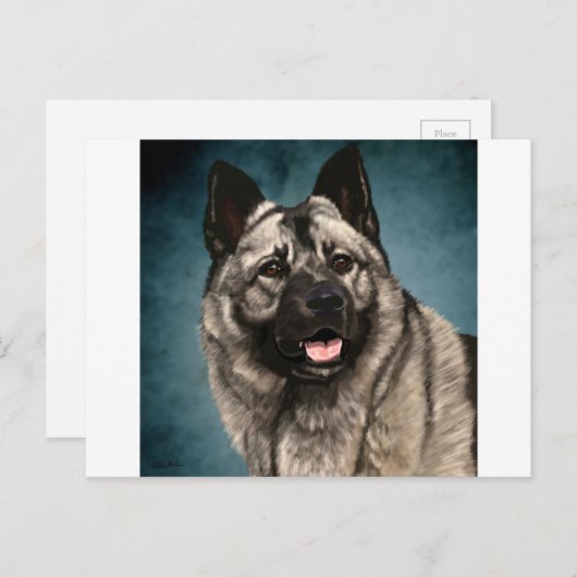 Noors Elkhound Briefkaart (Voorkant / Achterkant)