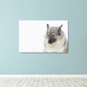 Noors Elkhound Canvas Afdruk (Insitu (Houten vloer))