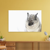 Noors Elkhound Canvas Afdruk (Insitu (Woonkamer))