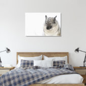Noors Elkhound Canvas Afdruk (Insitu (Slaapkamer))