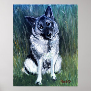 Noors "Elkhound Dog"-portret Poster
