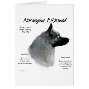Noors Elkhound Geschiedenis Ontwerp