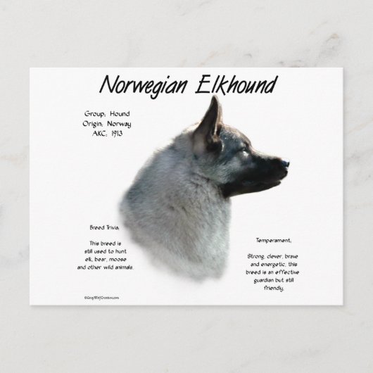 Noors Elkhound Geschiedenis Ontwerp Briefkaart (Voorkant)