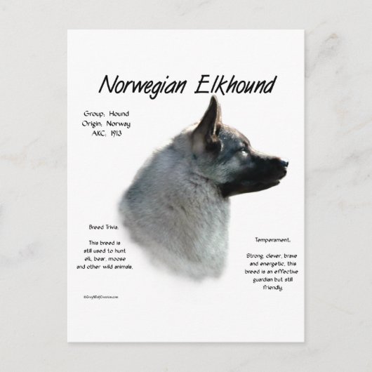 Noors Elkhound Geschiedenis Ontwerp Briefkaart (Voorkant)