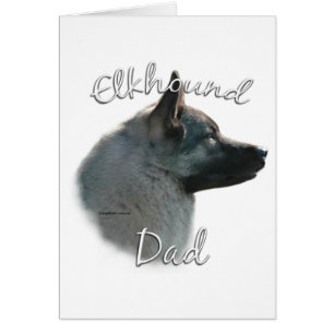 Noors Elkhound Pap 2