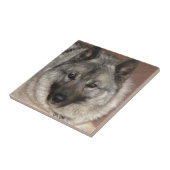 Noors Elkhound Tegeltje (Zijkant)