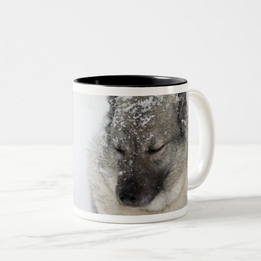 Noors Elkhound Tweekleurige Koffiemok (Voorkant rechts)