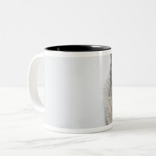 Noors Elkhound Tweekleurige Koffiemok (Voorkant links)