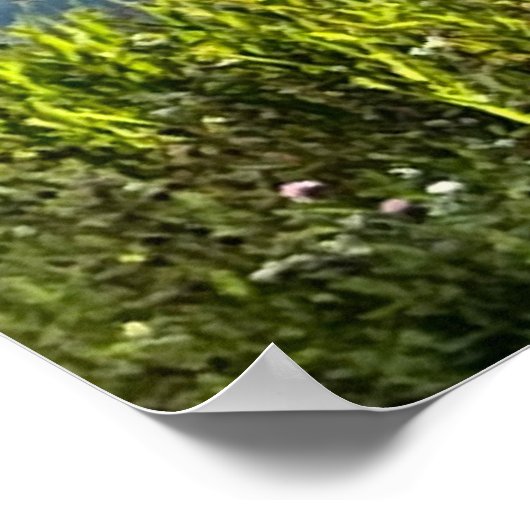 Noors feest poster (Hoek)