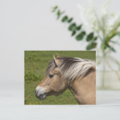 Noors Fjord Horse Briefkaart (Staand voorkant)