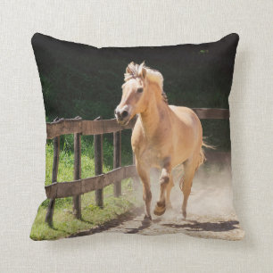Noors Fjord Horse - Finn Kussen