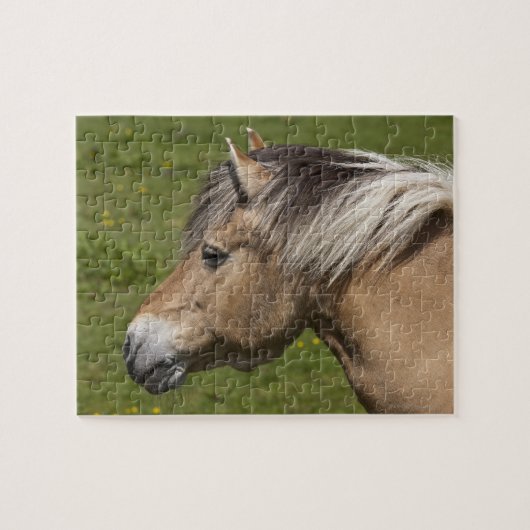 Noors Fjord Horse Legpuzzel (Horizontaal)