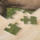 Noors Fjord Horse Legpuzzel (Zijkant)