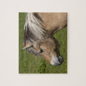 Noors Fjord Horse Legpuzzel (Verticaal)