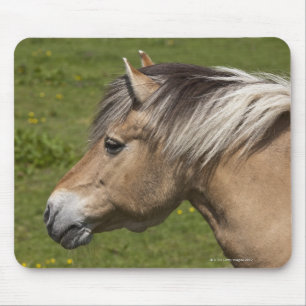 Noors Fjord Horse Muismat