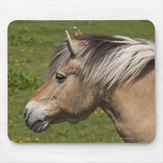Noors Fjord Horse Muismat (Voorkant)