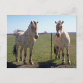 Noors Fjords Briefkaart (Voorkant)