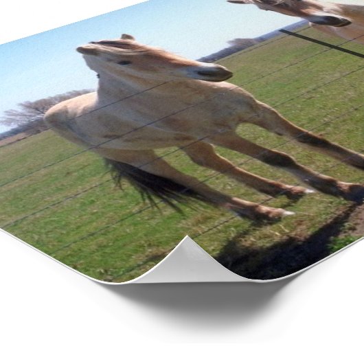 Noors Fjords Poster (Hoek)