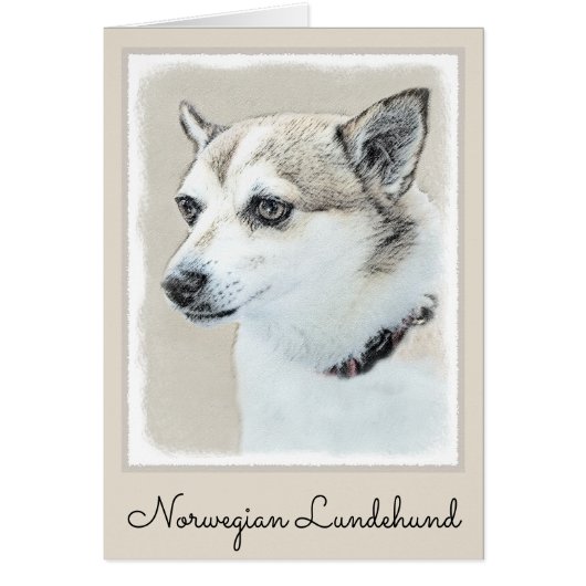 Noors Lundehund-schilderij - Oorspronkelijke honde (Voorkant)