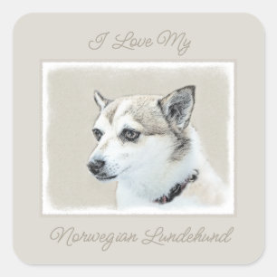 Noors Lundehund-schilderij - Origineel Hond Art Sq Vierkante Sticker